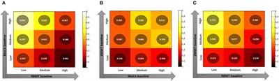 A Multidimensional Virtual Reality Neurorehabilitation Approach to Improve Functional Memory: Who Is the Ideal Candidate?